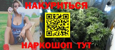 ALPHA PVP Гатчина